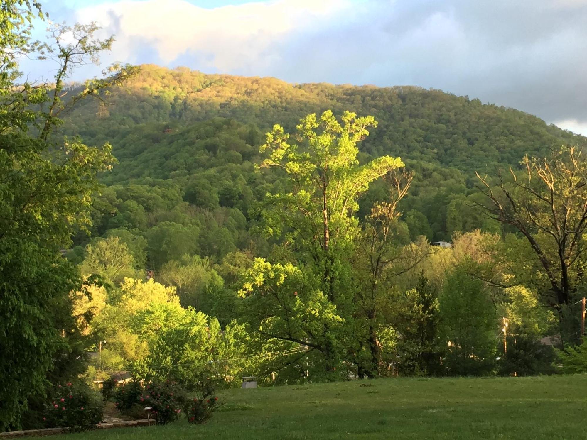 Andon-Reid Inn Bed & Breakfast Waynesville Dış mekan fotoğraf